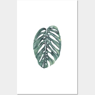 Tropical leaf Posters and Art